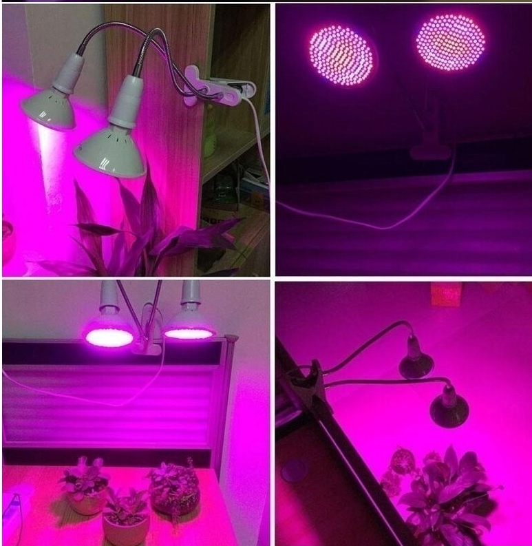 kunstlicht voor planten