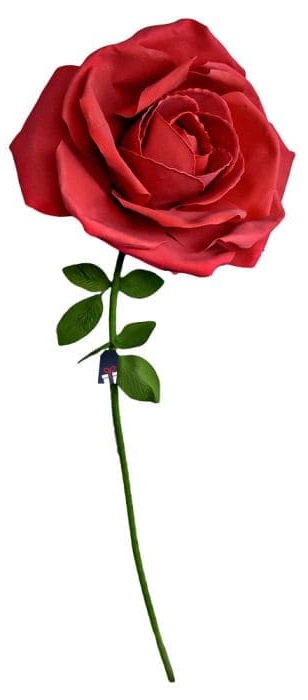 XXL enorme roos - Rozen als cadeau voor een vrouw