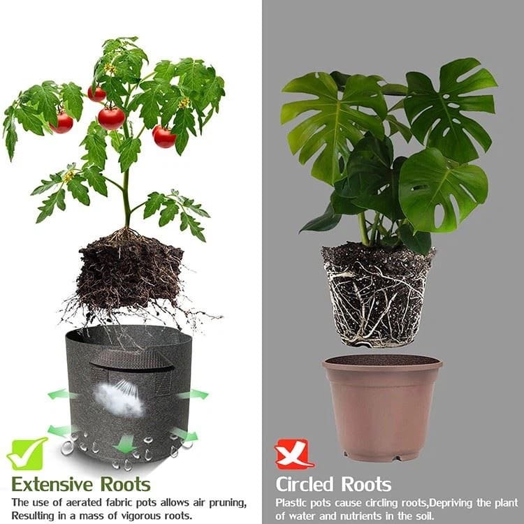 Eco-tas voor het kweken van planten