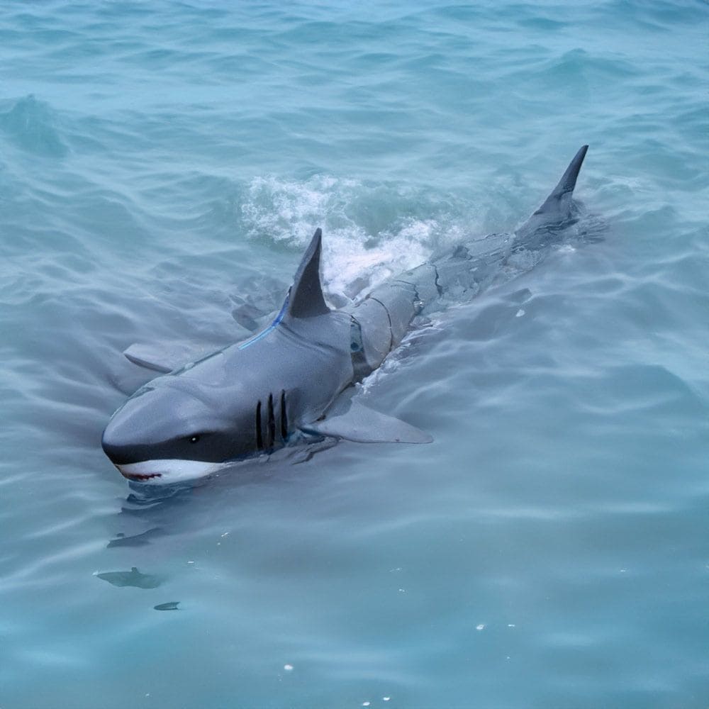 RC-haai voor afstandsbediening in het water met een controller