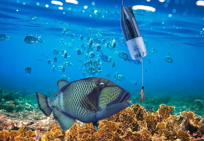 onderwater vis camera