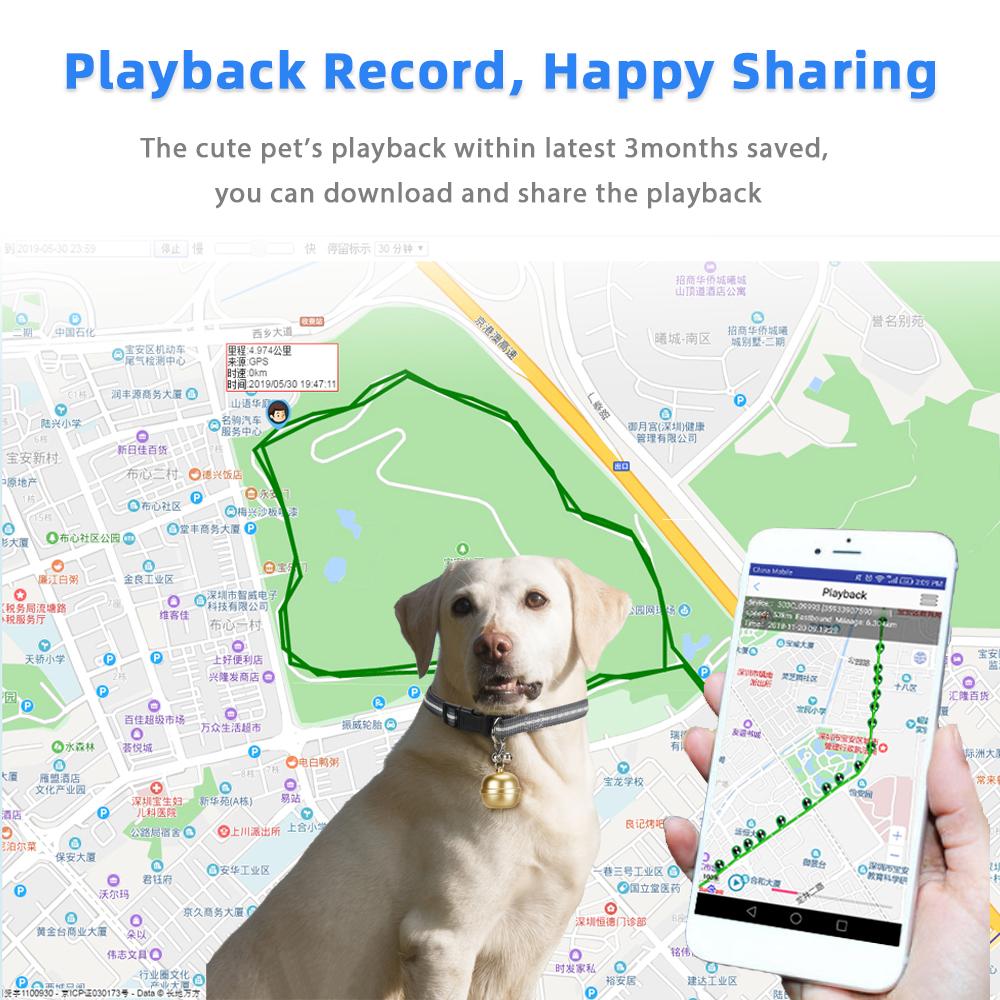 halsband gps-tracker voor hondenvolger